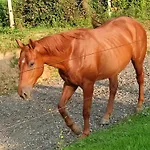 Fredhousedurbuy Bed and Breakfast 3*
