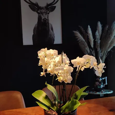 Fredhousedurbuy Bed & Breakfast Durbuy