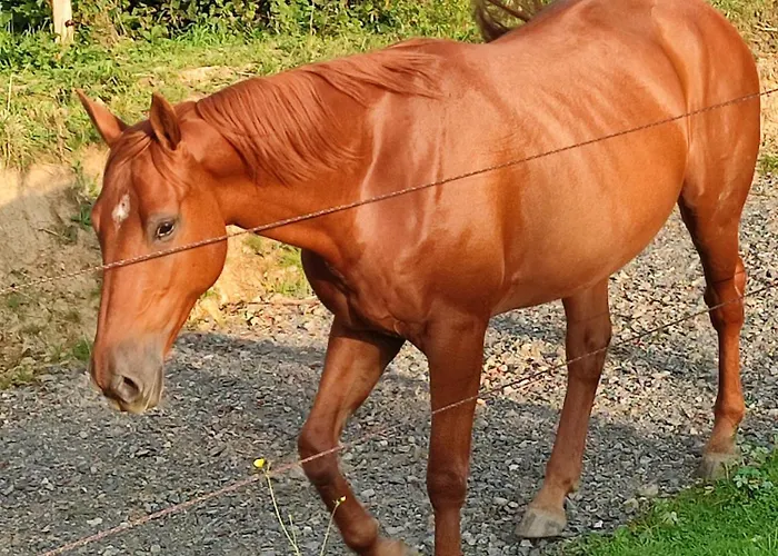 Fredhousedurbuy Bed & Breakfast 3*