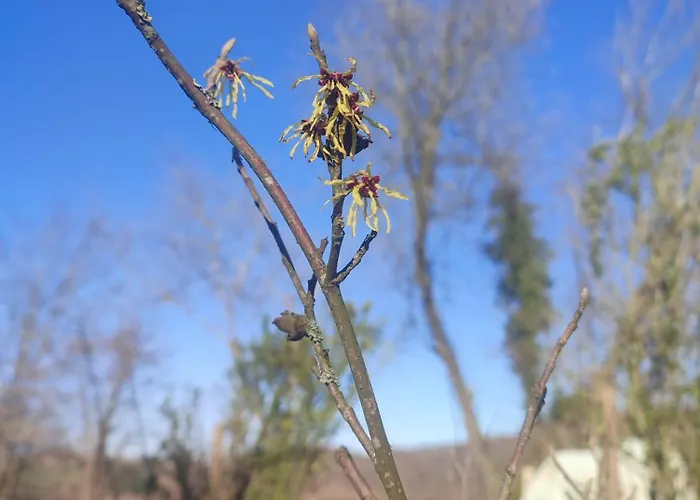 Fredhousedurbuy 3* Durbuy